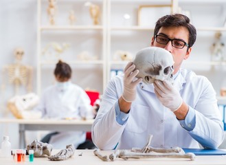 Professor studying human skeleton in lab