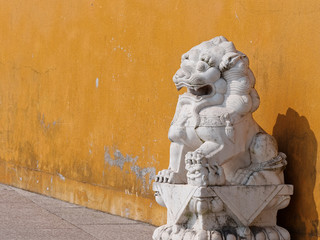 Chinese guardian lion with yellow wall background in sunny day.