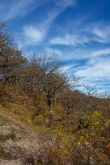 Autumn in mountain,andscape in Sunny day,amely weekeng travel,ubalpine meadows.