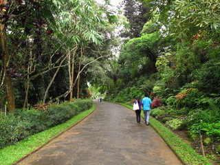 Kandy / Sri Lanka - 07 Jan 2011: Royal Botanical Gardens, Kandy, Sri Lanka