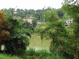 Fototapeta na wymiar Royal Botanical Gardens, Kandy, Sri Lanka