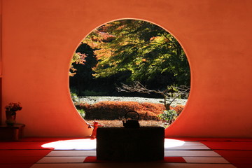 秋　鎌倉の紅葉　明月院