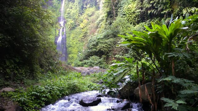 Bali sekumpul waterfall tourist attraction in tropical rain forest