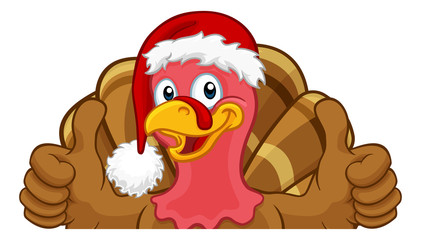 Turkey Christmas or Thanksgiving Holiday cartoon character wearing a Santa Claus hat, peeking over a sign and giving thumbs up