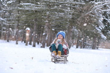 Fototapeta na wymiar A winter fairy tale,in the forest. A girl on a sled with gifts on the eve of the new year in the park. Two sisters walk in a New Year's park and ride a sled with gifts.