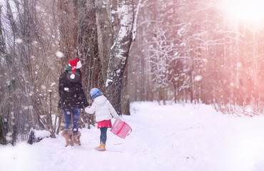 Fototapeta na wymiar A winter fairy tale,in the forest. A girl on a sled with gifts on the eve of the new year in the park. Two sisters walk in a New Year's park and ride a sled with gifts.