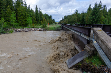Fototapeta premium rising flood waters on a creek up against the train bridge