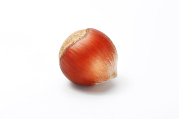 hazelnut isolated on white background with clipping path