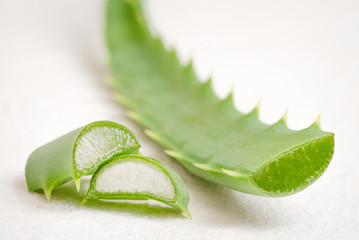 Aloe vera leaves isolated on white background.