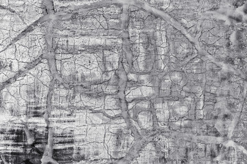 Fototapeta premium Texture of plaster on the wall. Gray background wall.