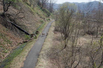 鹿ノ谷駅の風景