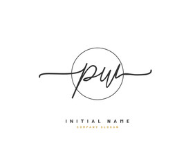 P W PW Beauty vector initial logo, handwriting logo of initial signature, wedding, fashion, jewerly, boutique, floral and botanical with creative template for any company or business.