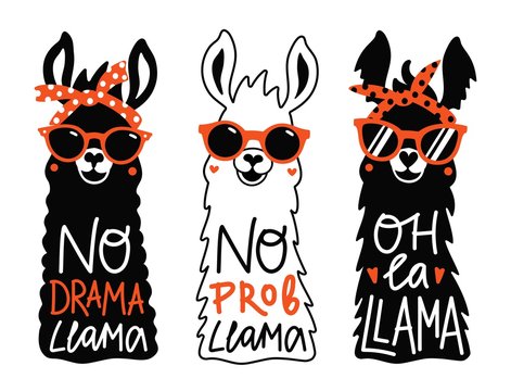 Vector llama set in red sunglass and headband. No prob llama, No drama llama, Oh la llama motivational and inspirational quotes.