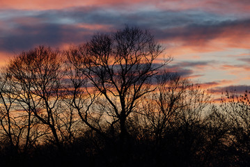 Fototapeta premium Sunrises and sunsets of Russia