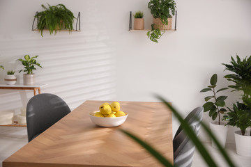 Ripe quinces on wooden table in room decorated with potted plants. Home design