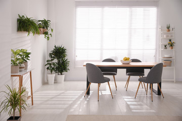 Stylish room interior with green plants. Home decoration