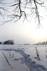 Winter landscape of country fields and roads