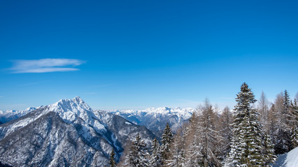 Fototapeta na wymiar winter day in the alps of Friuli Venezia-Giulia