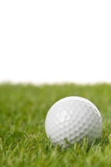 White golf ball on green grass lawn with copy space, isolated on white background
