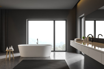 Fototapeta na wymiar Gray bathroom interior with sink and tub