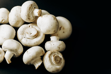 champignon mushrooms on a black background. space for text