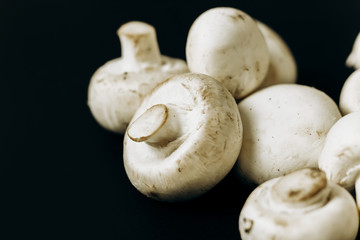 champignon mushrooms on a black background. space for text