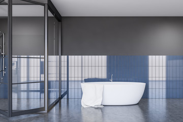 Gray and blue bathroom with tub and shower