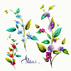 Flowers. Set of three bouquets. Flax bud with stem and leaf on white. Can be used in design purpose. Hand drawn illustration, vector - stock.