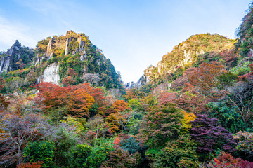 autumn leaves in the mountains, yabakei, oita, japan