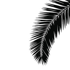 Palm leaf ink shape vector