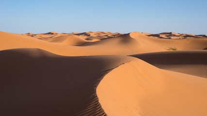 Fototapeta na wymiar Sand landscapes and dunes in the Sahara desert.