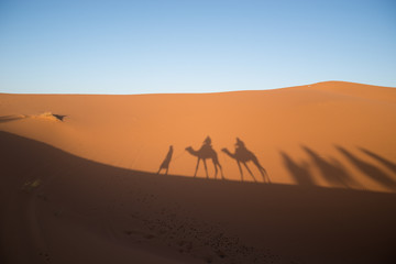 Fototapeta na wymiar Shadow of Berber man leading a group of dromedary camels in the dunes of the Sahara desert.