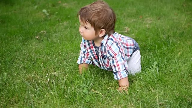 The baby crawls on the grass. boy 0-1 years old. Cute baby crawling in the grass