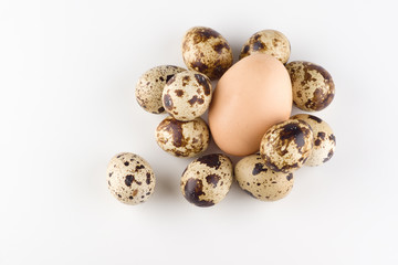 Obraz premium quail eggs isolated on white background