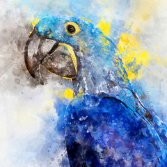 Portrait of a hyacinth macaw parrot in a watercolor painting © Elles Rijsdijk