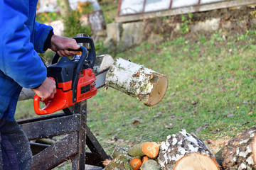 Traditional way of sawing wood wood with chainsaw 