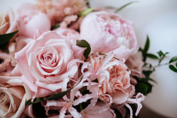 fresh bright blooming peonies flowers with dew drops on petals