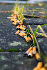 Viele Zigaretten sind auf der Straße und verschmutzen die Umwelt