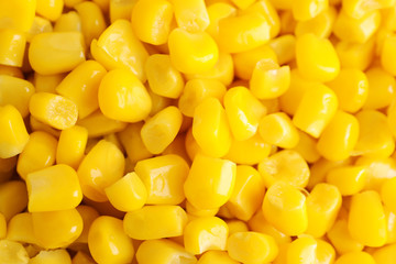 Delicious canned corn kernels as background, closeup