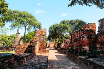 Obraz premium ancient temple in ayutthaya Thailand