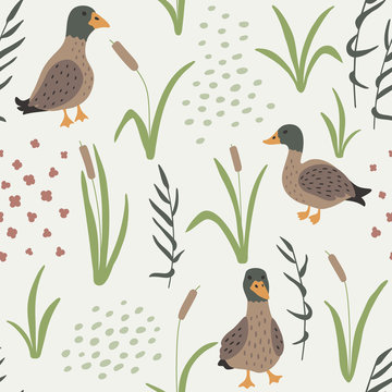 Hand drawn seamless pattern with Ducks and grass. Wild ducks in natural landscape repetitive background. Trendy vector illustration.