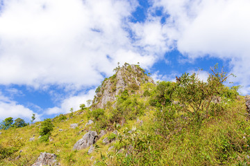Fototapeta na wymiar Mountain hill in the forest with blue sky and white cloud for hiking traveller at Chiangdao, Chiangmai, Thailand.