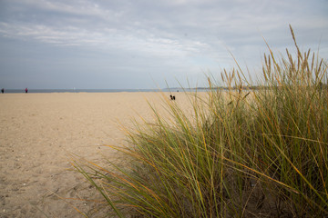 Fototapeta na wymiar Sand Strand spazieren Wolken gras