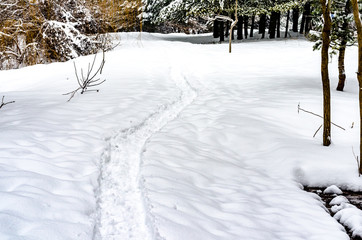 Paths and traces of boots through the snow in park .