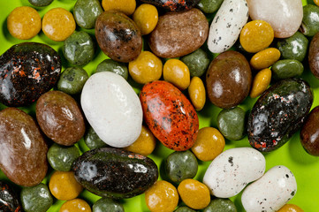 Pebble-dragee with apricots, chocolate, mandarin and marzipan. Tasty, bright, shot on a green background