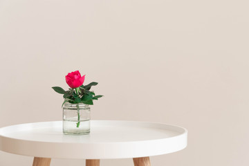 Single pink rose in a glass vase on a small white coffee table on neutral wall background