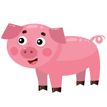 Color image of cartoon pig or swine on white background. Farm animals. Vector illustration for kids.