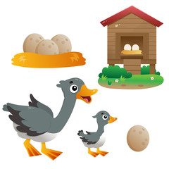 Color images of cartoon goose with gosling on white background. Farm animals. Vector illustration set for kids.