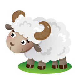 Color image of cartoon sheep on white background. Farm animals. Vector illustration for kids.
