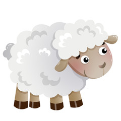 Color image of cartoon little sheep on white background. Farm animals. Vector illustration for kids.